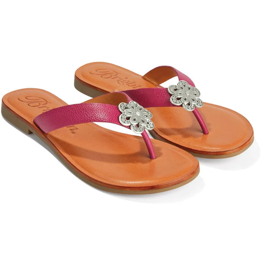 Aster Flower Thongs